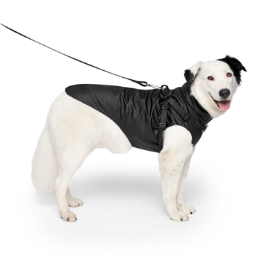 Canada Pooch Harness Raincoat
