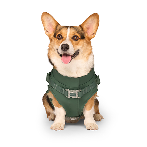 Canada Pooch Harness Raincoat