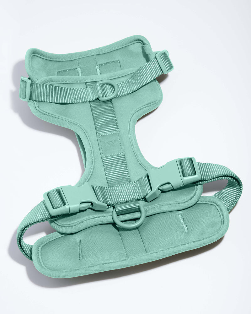 Wild One Harness Seafoam - Small