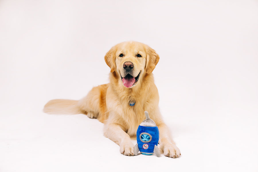 PLAY AlienBuddy - Starblaster- 2 in 1 Toy - Plush & Rubber