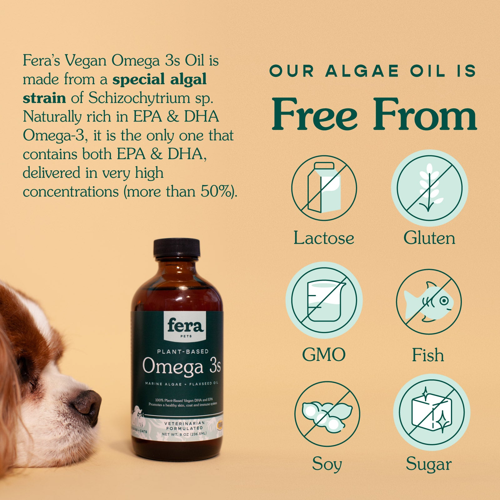 Fera Algae Oil Omega 3, 6, 9 for cats and dogs