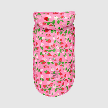 Canada Pooch Pick Me Poncho Strawberry