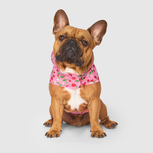 Canada Pooch Pick Me Poncho Strawberry