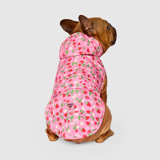 Canada Pooch Pick Me Poncho Strawberry