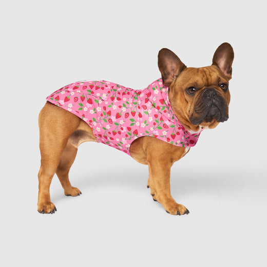 Canada Pooch Pick Me Poncho Strawberry