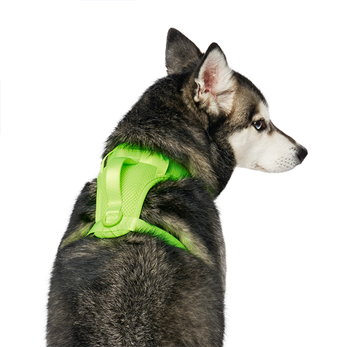 Canada Pooch The Everything Harness Neon Green