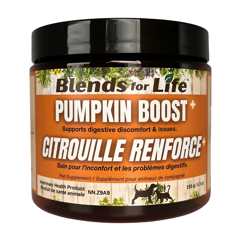 Blends for Life Pumpkin Boost+ Pet Supplement 150g