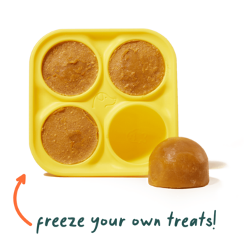 Woof Pupsicle treat tray