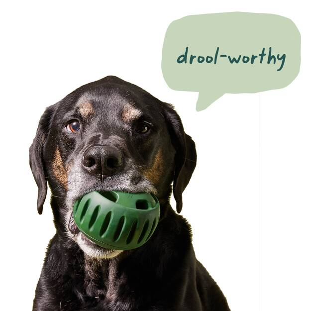 Woof Pupsicle Refill Pops