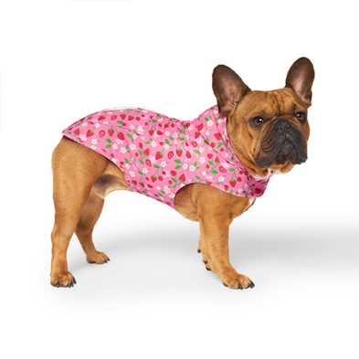 Canada Pooch Pick Me Poncho Strawberry 20