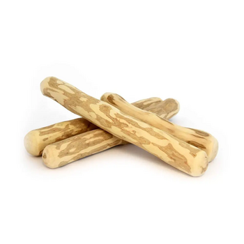 Canophera Dog Chew Stick Made of Olive Tree Wood