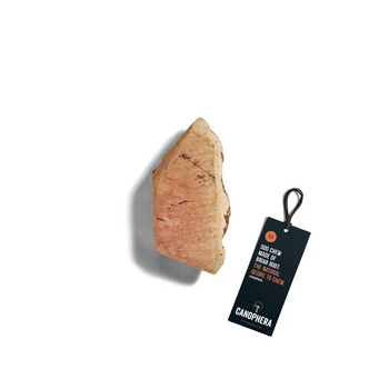 Canophera Dog Chew Root Made of Briar Wood Medium