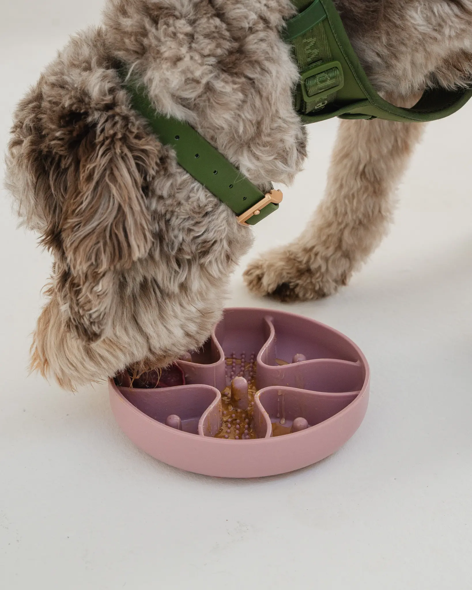 dexypaw Hide and Seek Slow Feeder Blush Pink