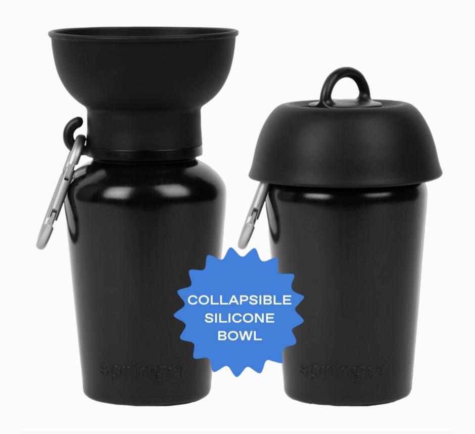 Springer Dog Travel Water Bottle