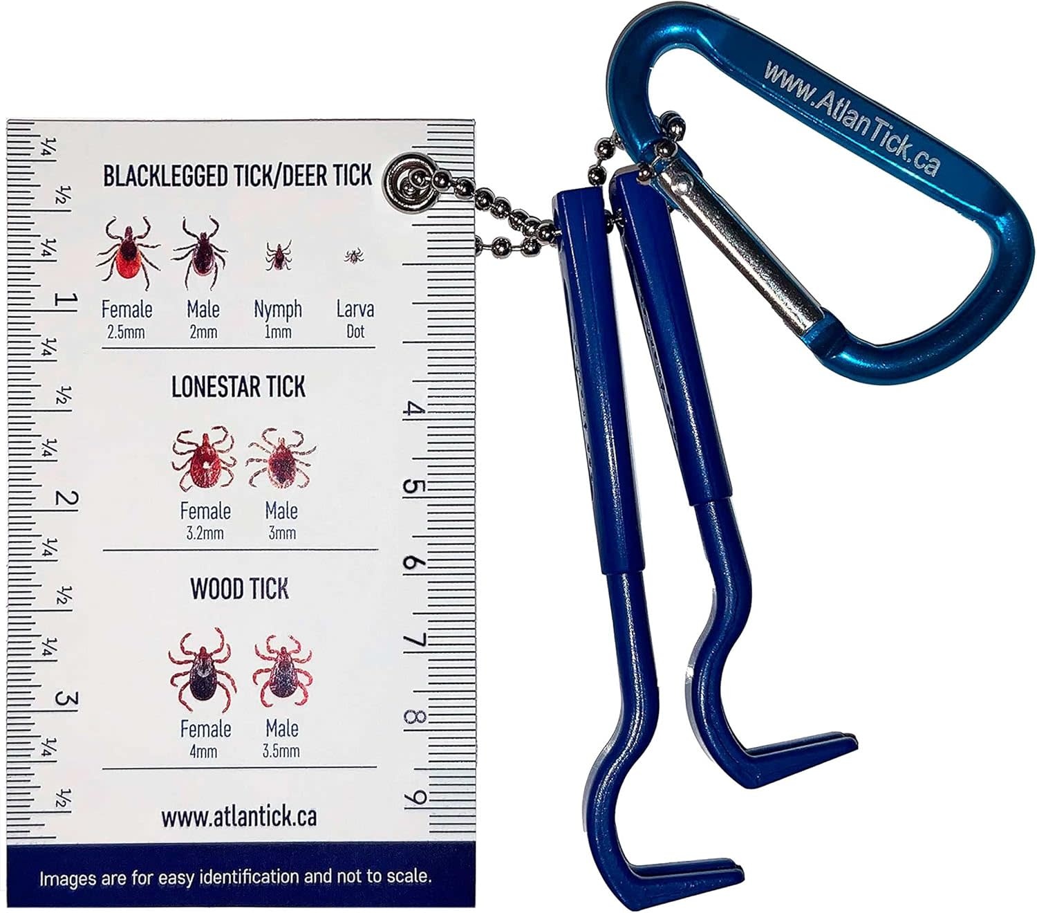 Atlantick Tick Pick, Tick ID, and Key Chain