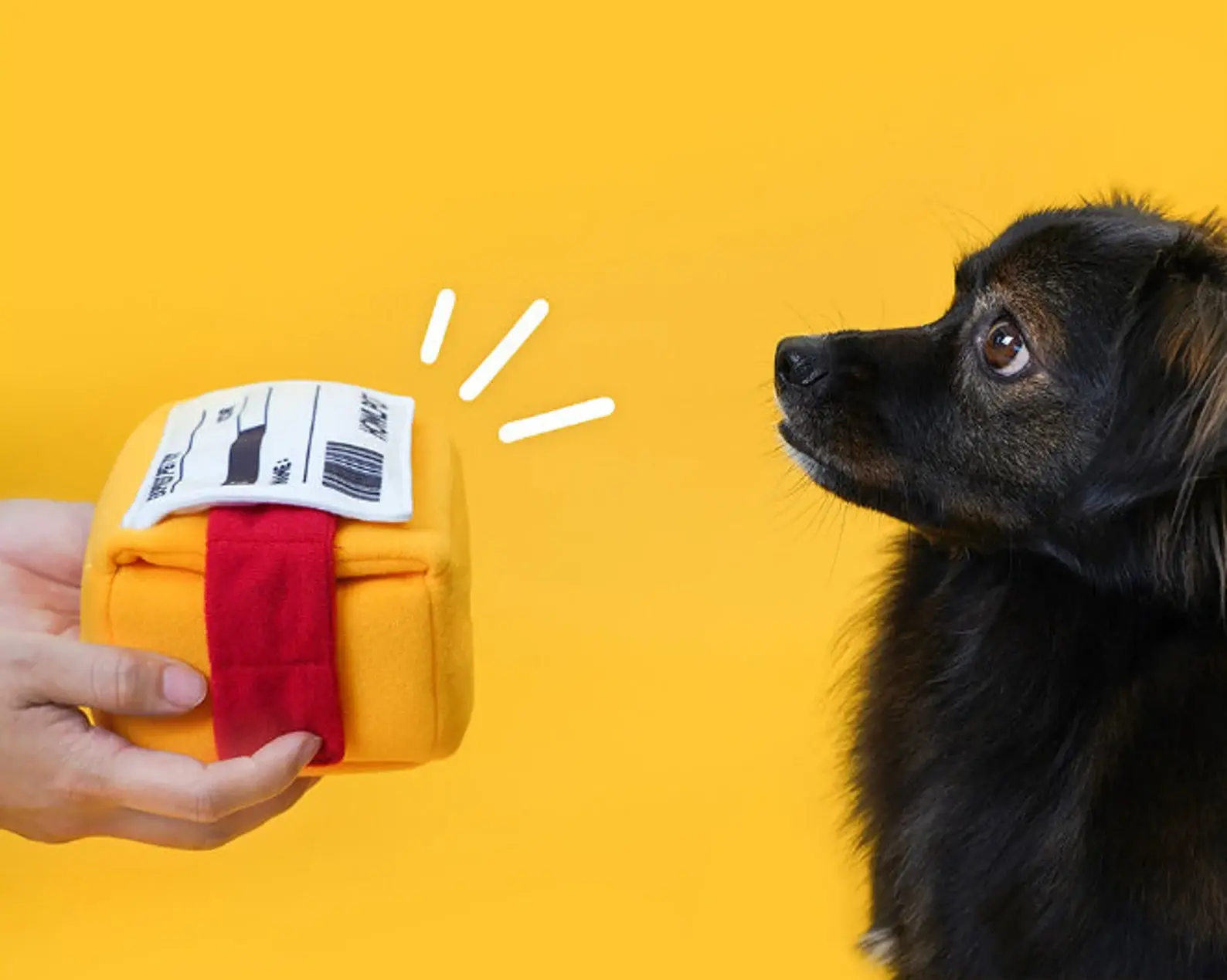 Howlpot Express Box Chew Toy