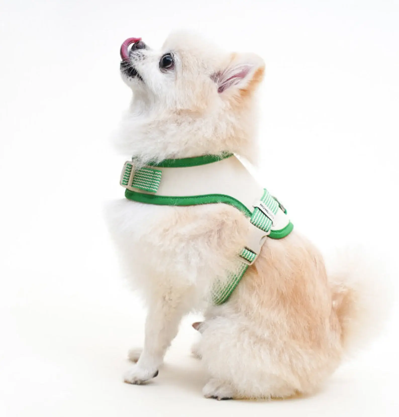 Howlpot Basic Wear Harness