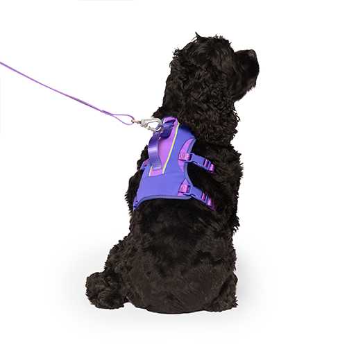Canada Pooch Max Chill Cooling Harness Purple Medium