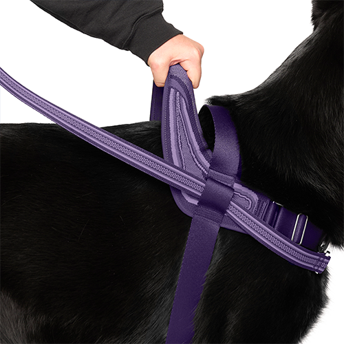 Canada Pooch Redirect Harness Purple/Lavender Small