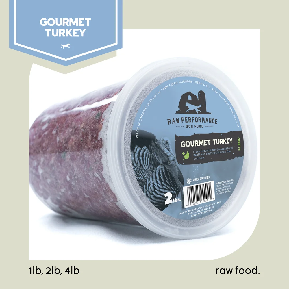 Raw Performance Raw Performance