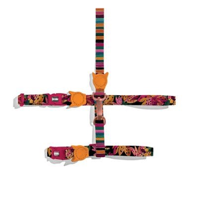 Zee Dog Cat Harness + Leash Set