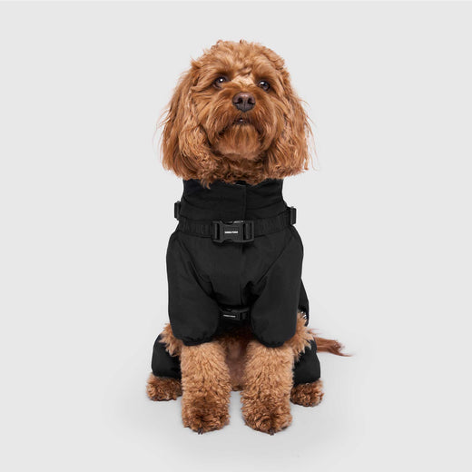 Canada Pooch Harness Snow suit -