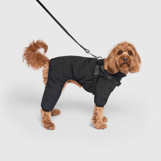 Canada Pooch Harness Snow suit -