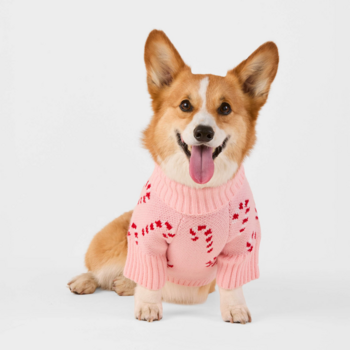 The Foggy Dog Candy Canes Sweater