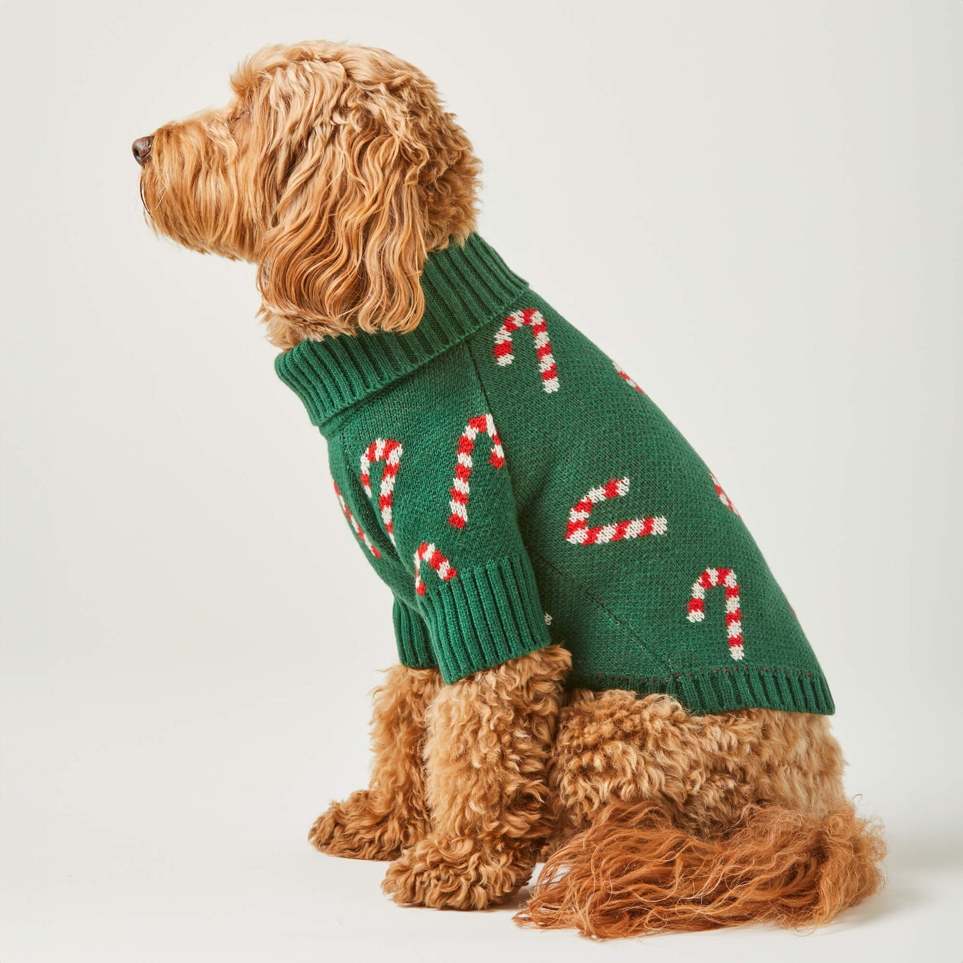 The Foggy Dog Candy Canes Sweater