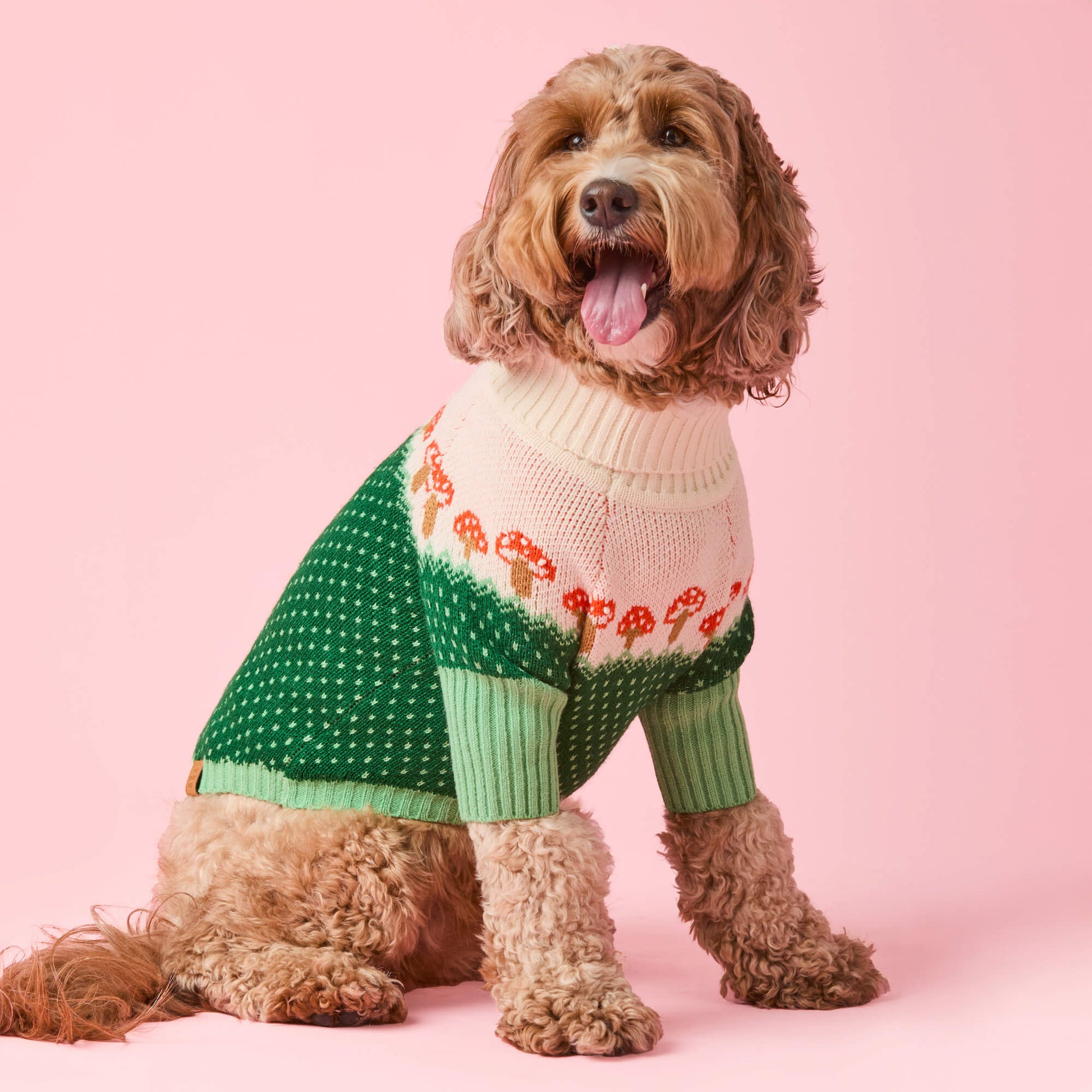 The Foggy Dog Toadstool Sweater
