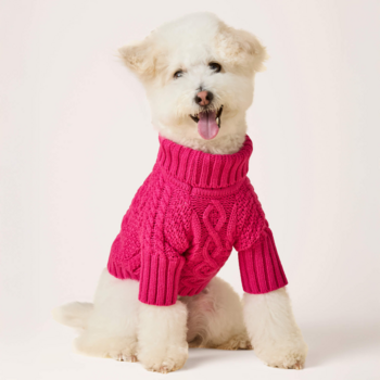 The Foggy Dog Hot Pink Cable Knit Sweater