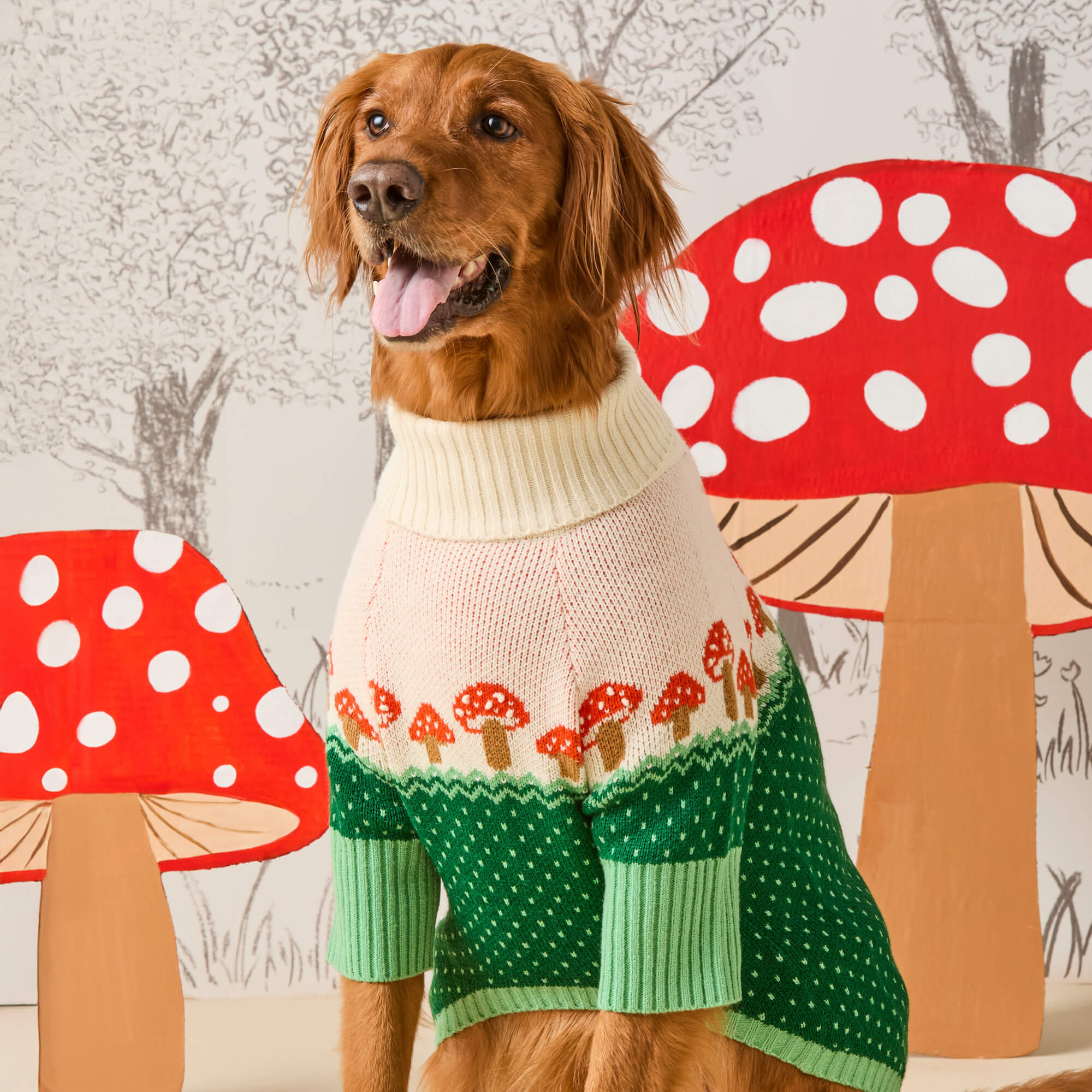 The Foggy Dog Toadstool Sweater