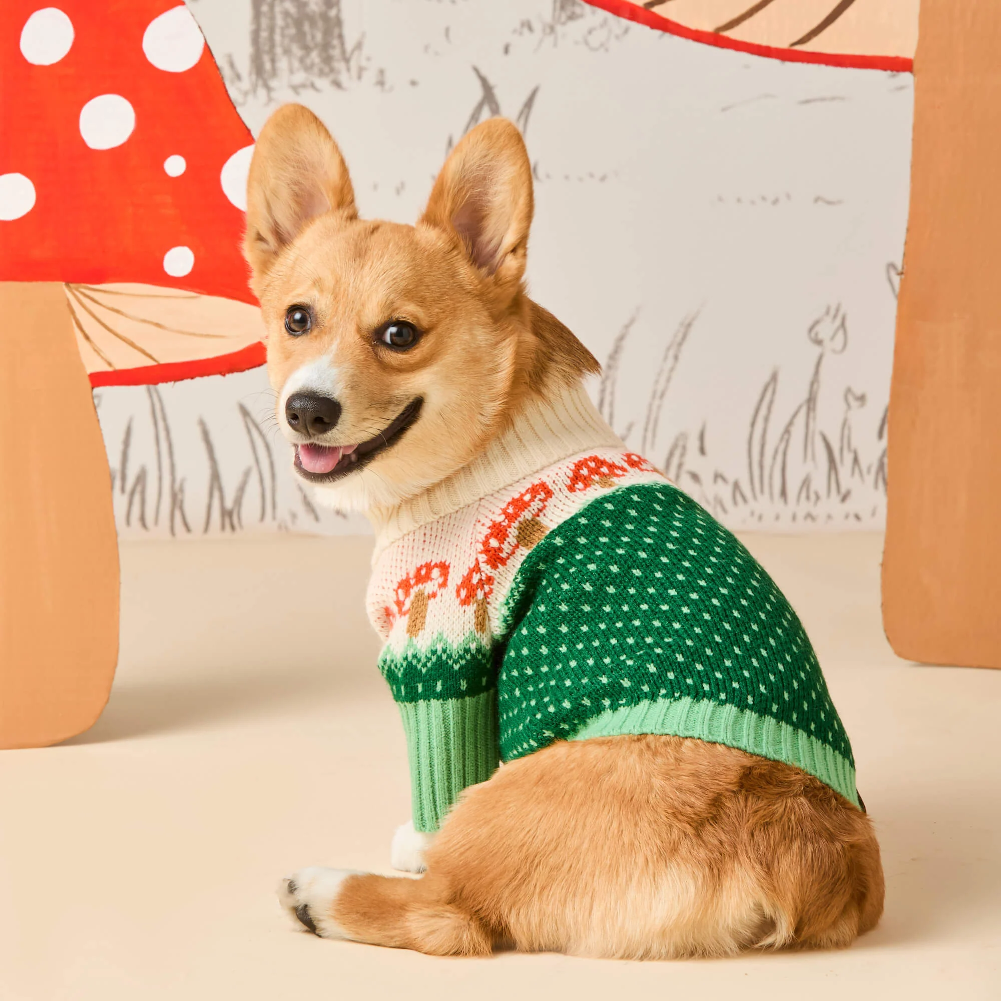 The Foggy Dog Toadstool Sweater