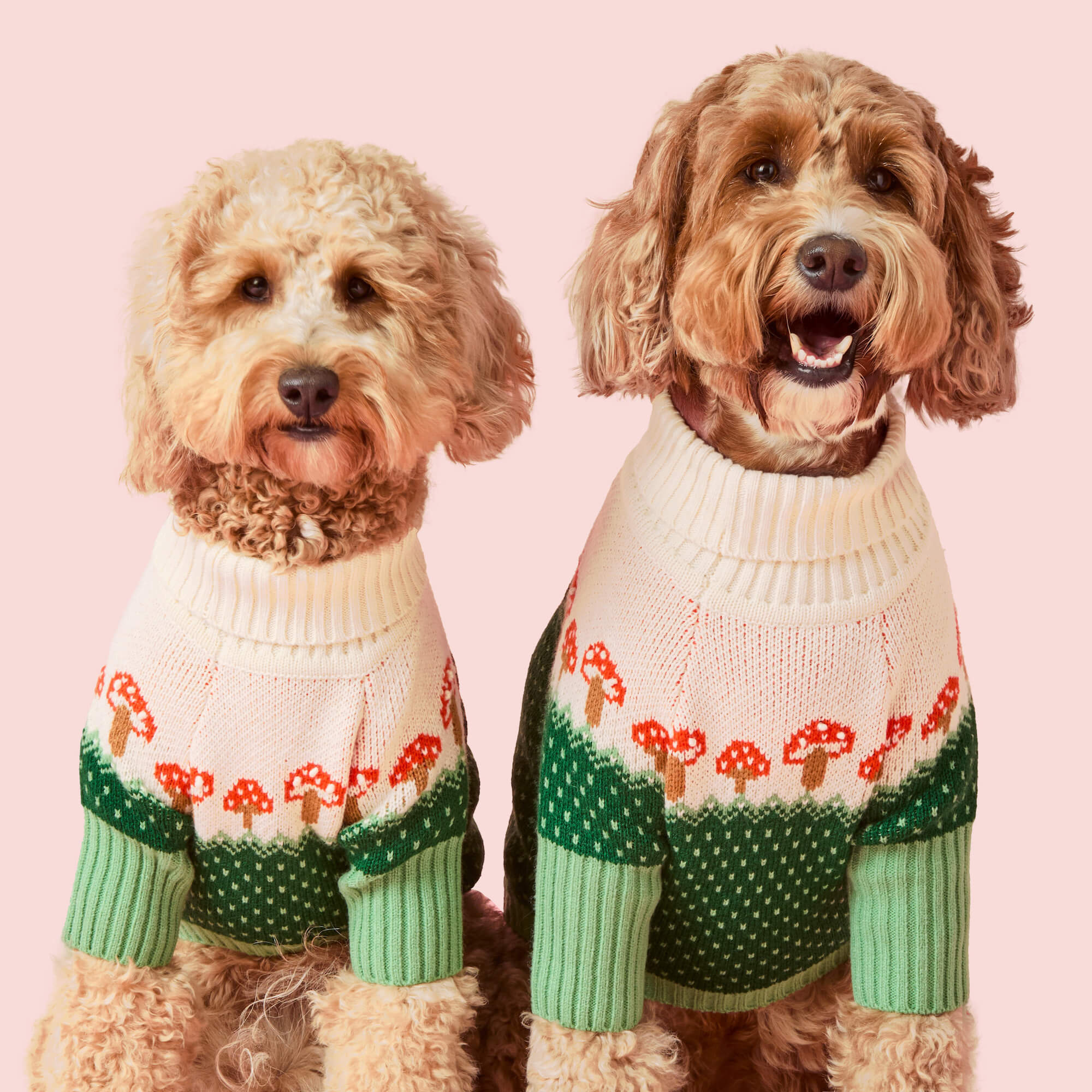 The Foggy Dog Toadstool Sweater