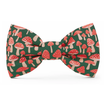 The Foggy Dog Bow Tie