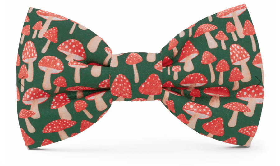 The Foggy Dog Bow Tie