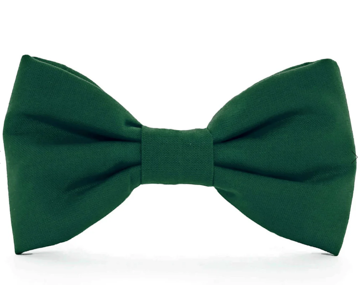 The Foggy Dog Bow Tie