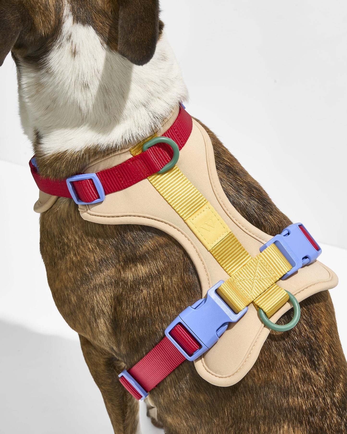 Wild One Harness -