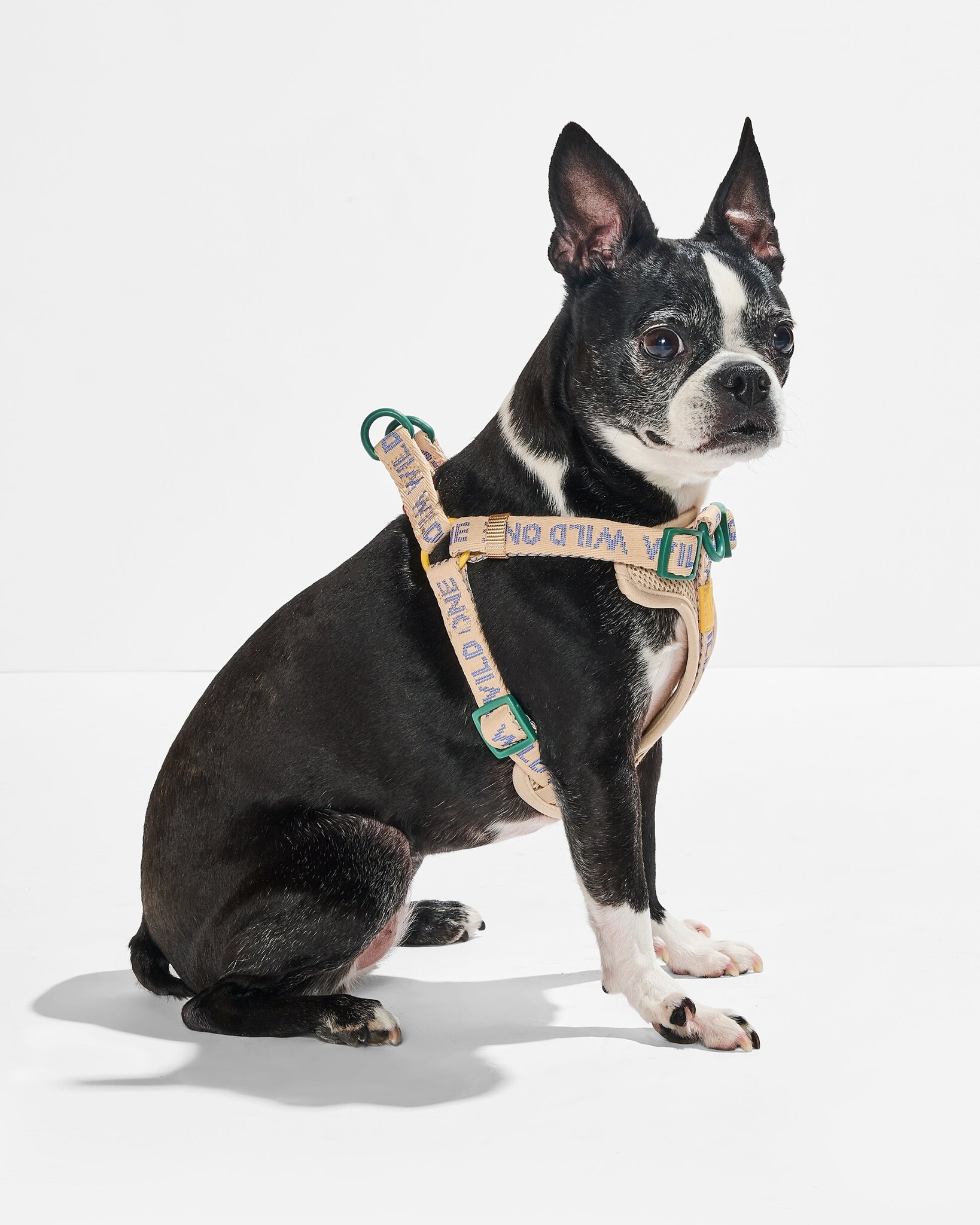 Wild One Wild One Step-In Harness