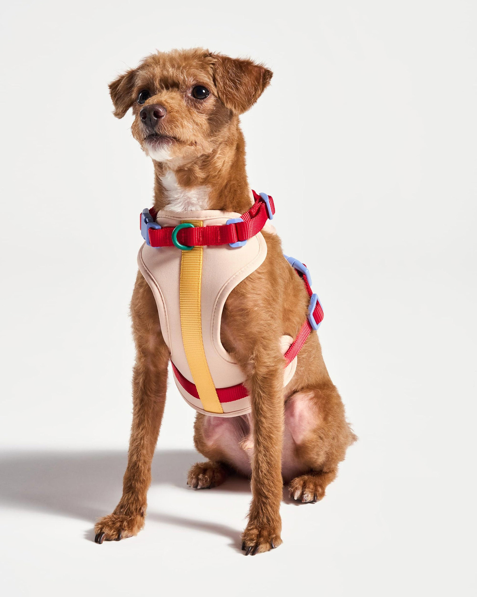 Wild One Harness -