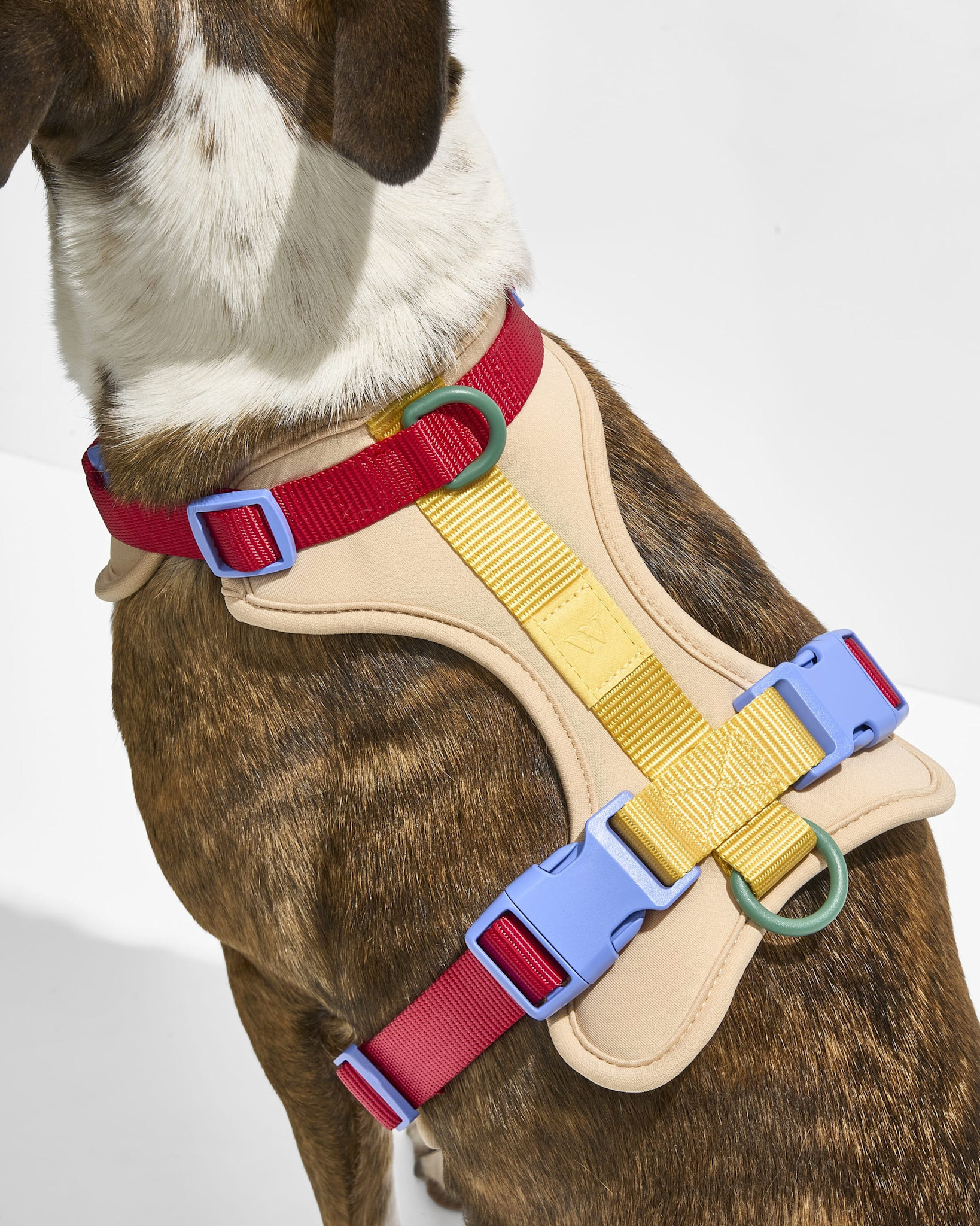 Wild One Harness -