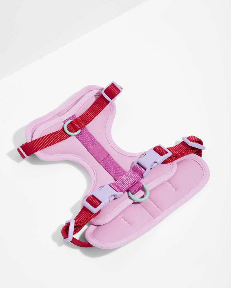 Wild One Harness Bubblegum