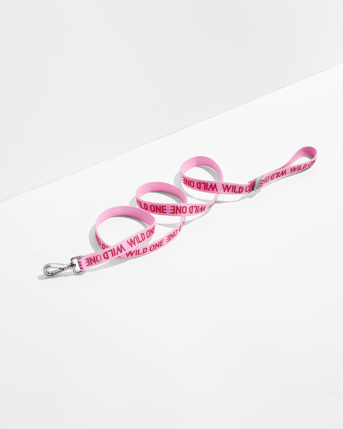 Wild One Lightweight Nylon Dog Leash