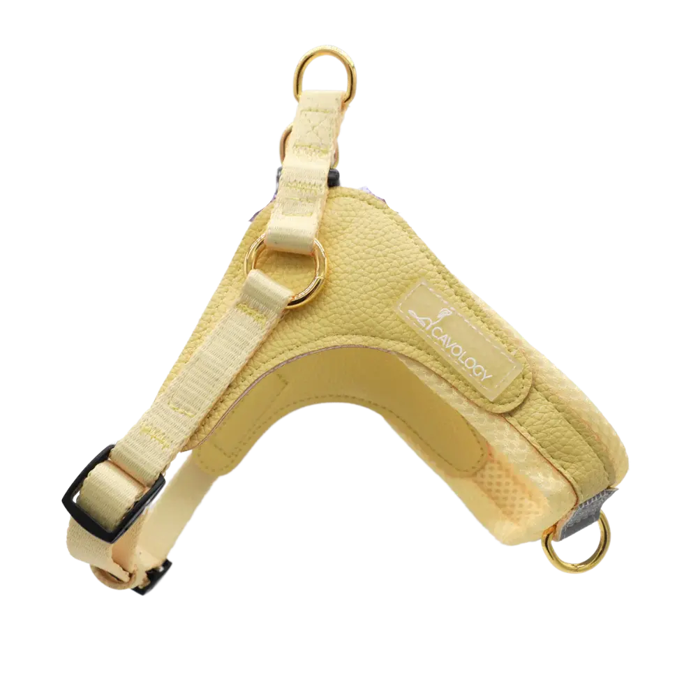 Cavology Easy-O Step-In Harness