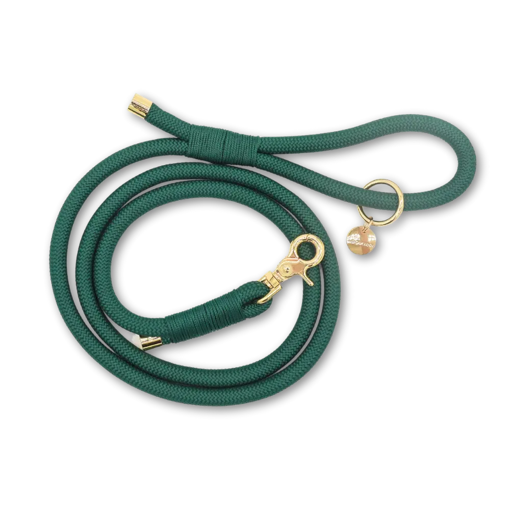 Cavology Braided Rope Leash