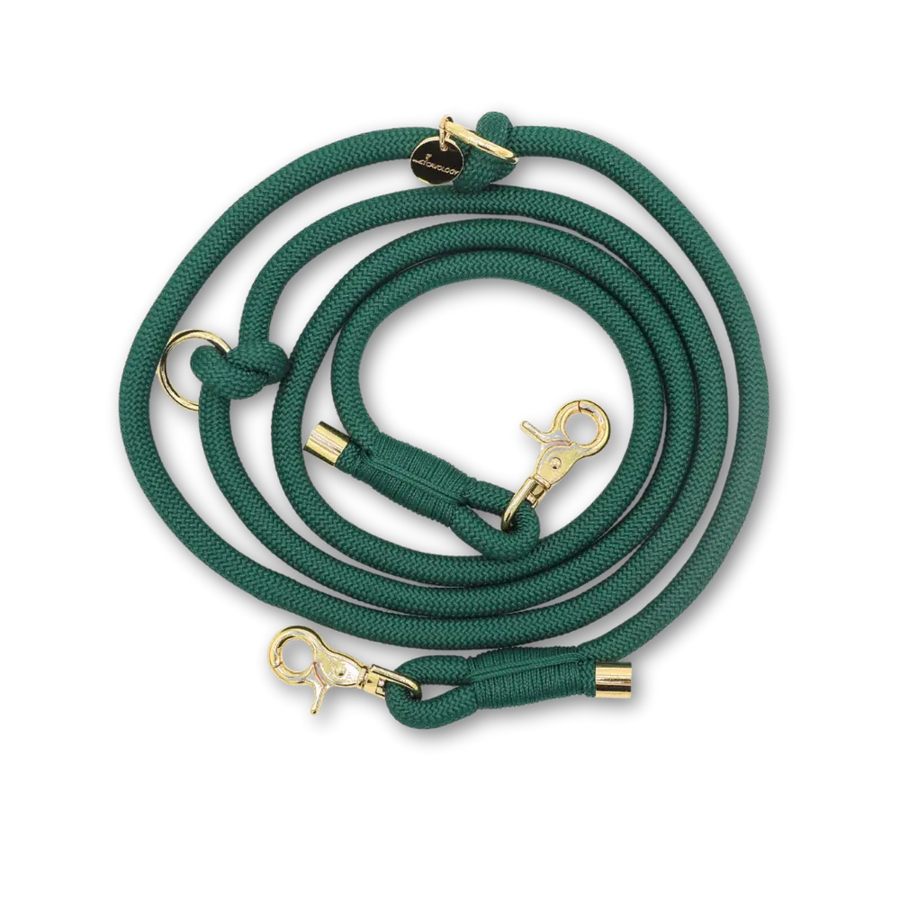 Cavology Hands Free Braided Rope Leash