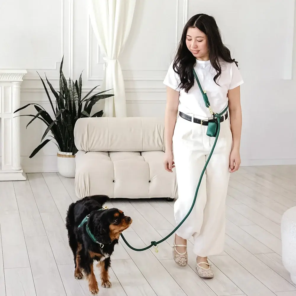 Cavology Hands Free Braided Rope Leash