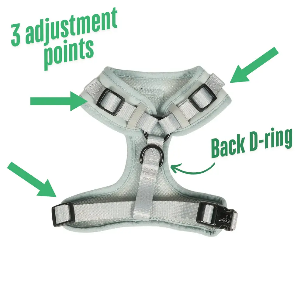 Cavology Dog Harness Adjustable Neck