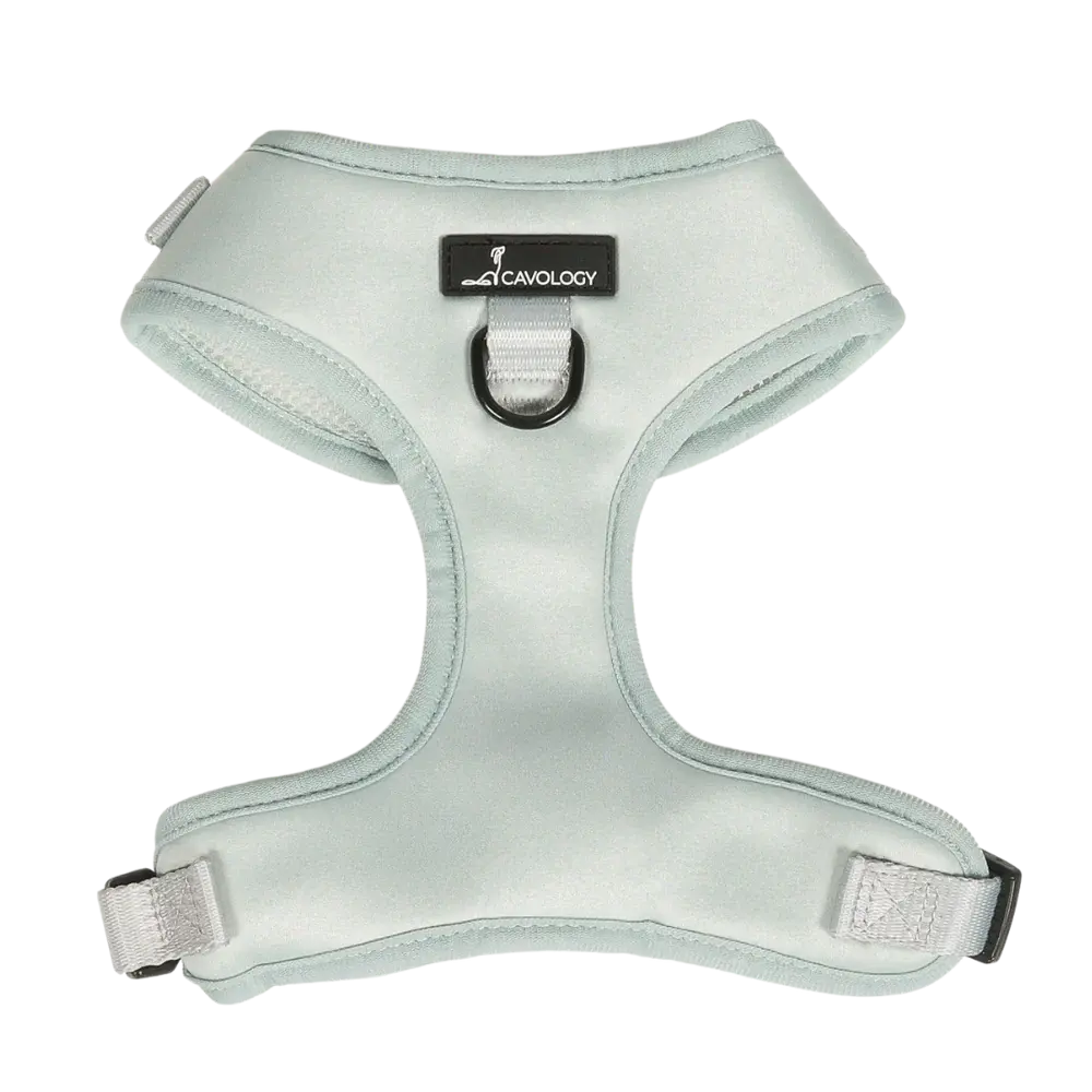 Cavology Dog Harness Adjustable Neck