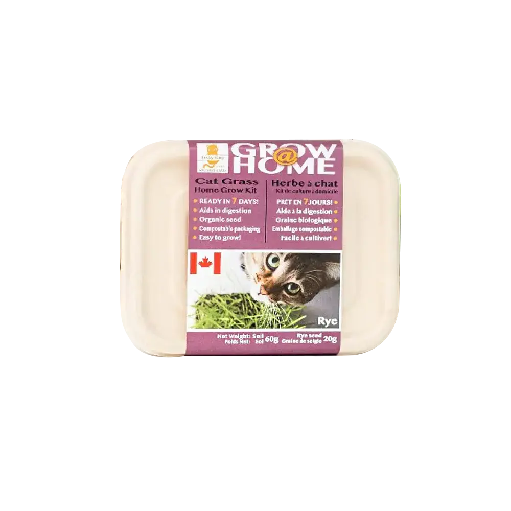 Fog Farms Urban Growers Rye Grass Kit For Cats 70g